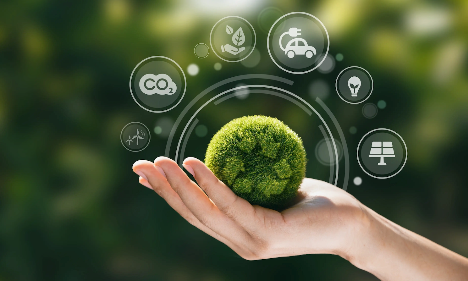 Geri Dönüşüm ve Sıfır Atık Eğitimi